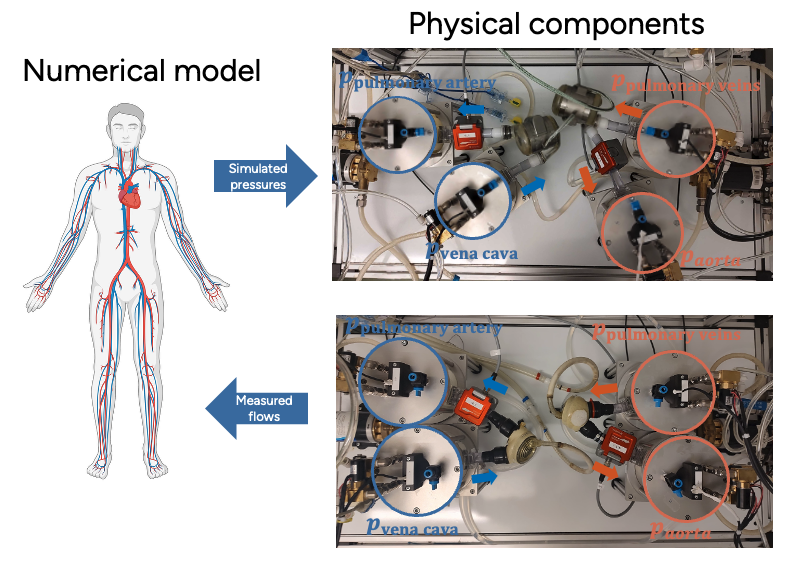 data-driven-cardiovascular-assist-devices