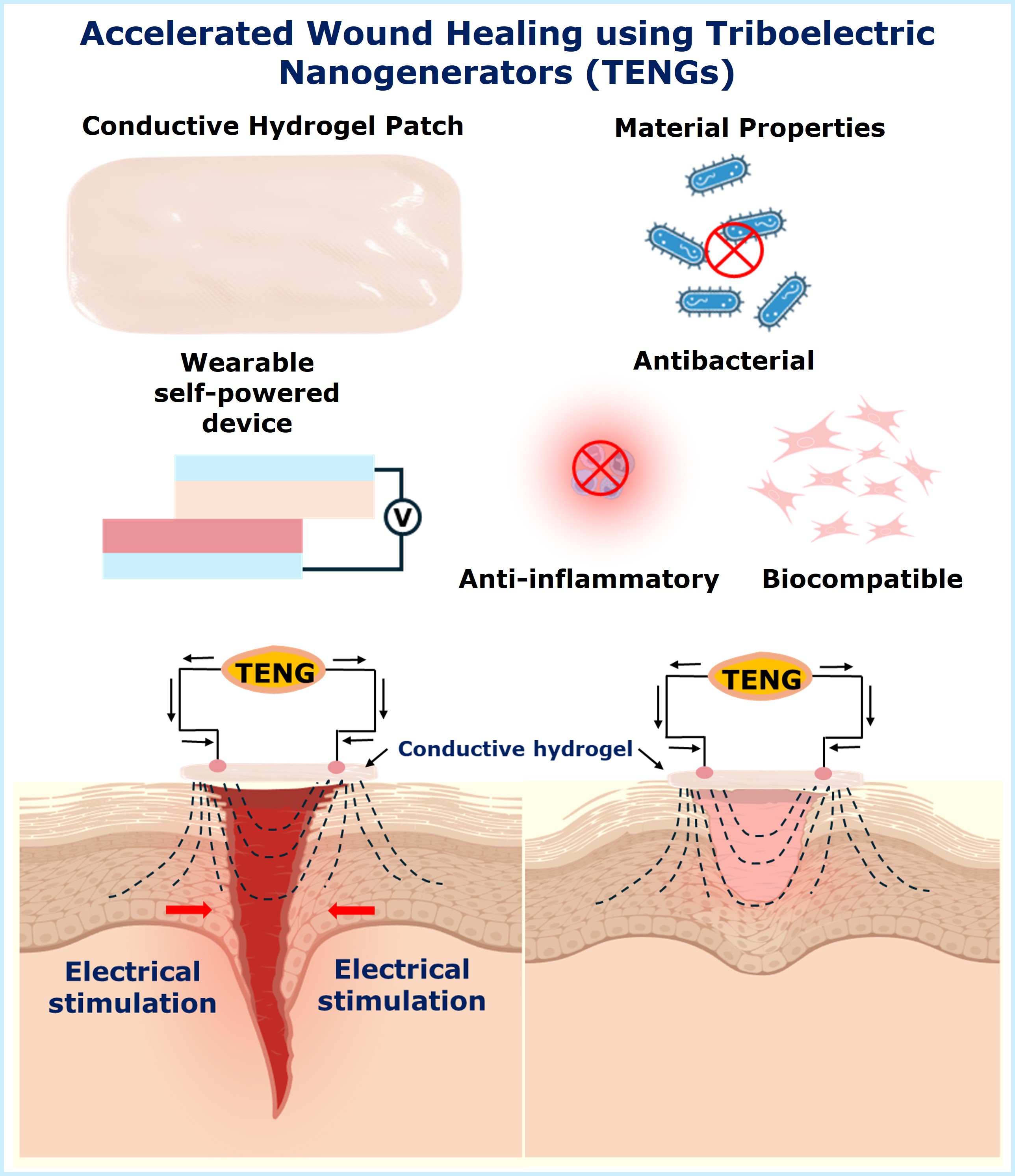 Wound Healing